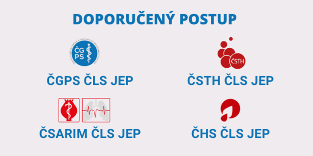 DP- Nahledový obrázek.png